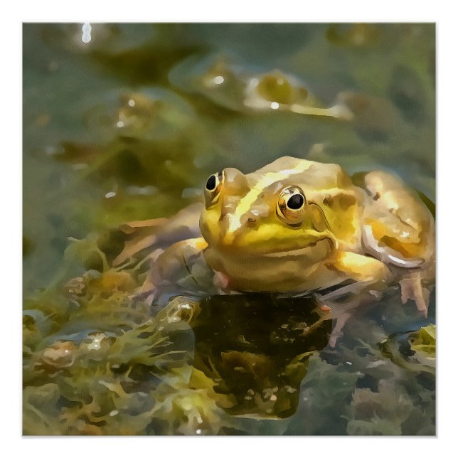 Green Frog In Shallow Water Acrylic Painting Poster (Front)