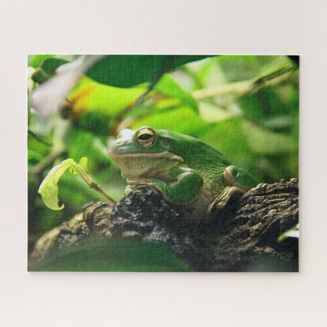Green Frog Jigsaw Puzzle (Horizontal)