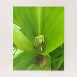 Green Frog Jigsaw Puzzle