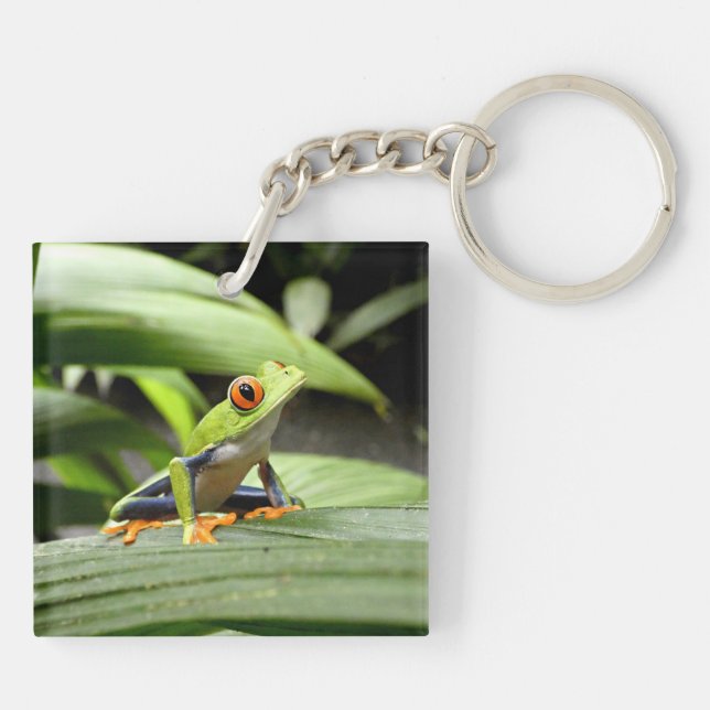 Green frog keychain (Back)