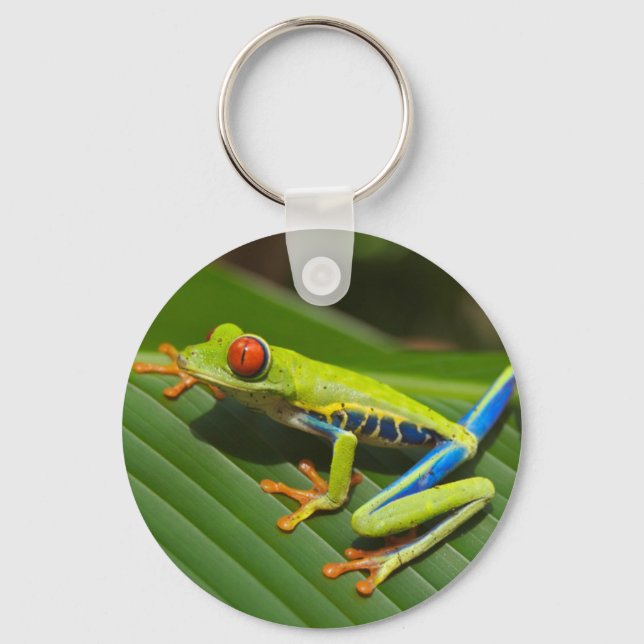 Green Frog Keychain (Front)