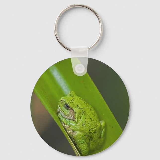 Green Frog Macro Keychain (Front)