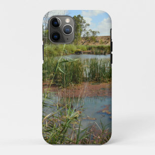 Green Frog On Reeds Over Swamp, iPhone 11 Pro Case