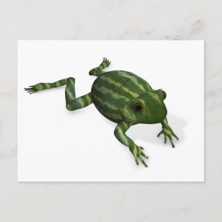 Green Frog Postcard