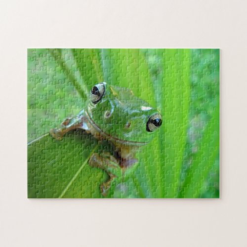 Green Frog Puzzle