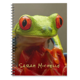 Green Frog Red Eyes Photo Personalized Notebook