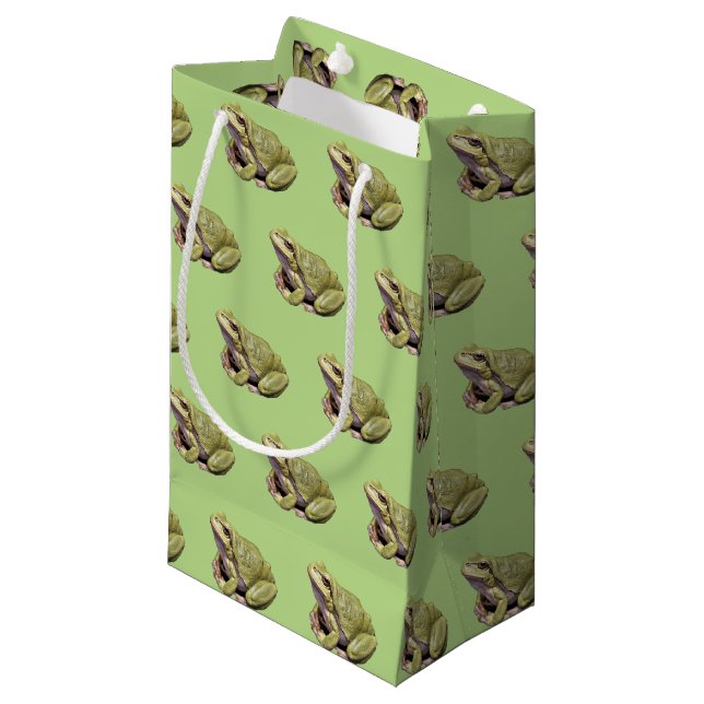 Green Frog Small Gift Bag (Front Angled)