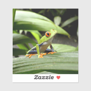 Green frog sticker