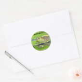 Green Frog Sticker (Envelope)
