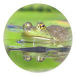 Green Frog Sticker