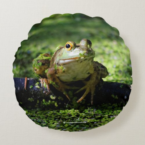 Green Frog Strikes a Pose on the Hose Round Pillow