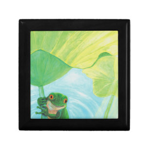 Green Frog under Lily Pad   Gift Box