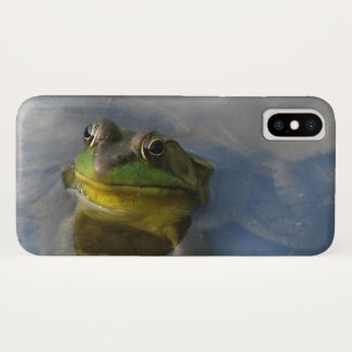 Green Frog with an Attitude iPhone X Case