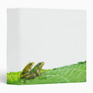 Green frogs on the leave binder