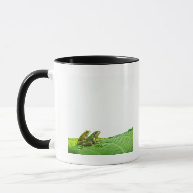Green frogs on the leave mug (Left)