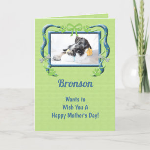 Green From the Dog Mother's Day Card