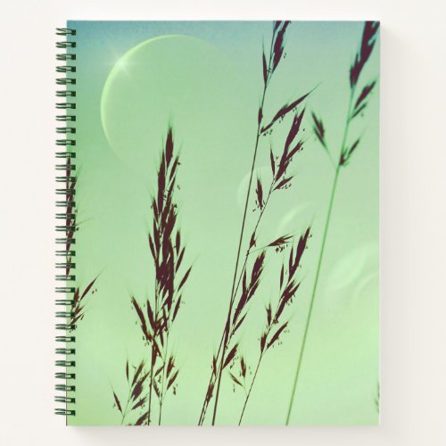 Green fronds leaves moon phases night sky  notebook