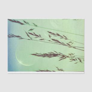 Green fronds leaves moonlight night sky tissue paper
