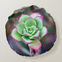 Green & Fuchsia Succulent Plant Round Pillow
