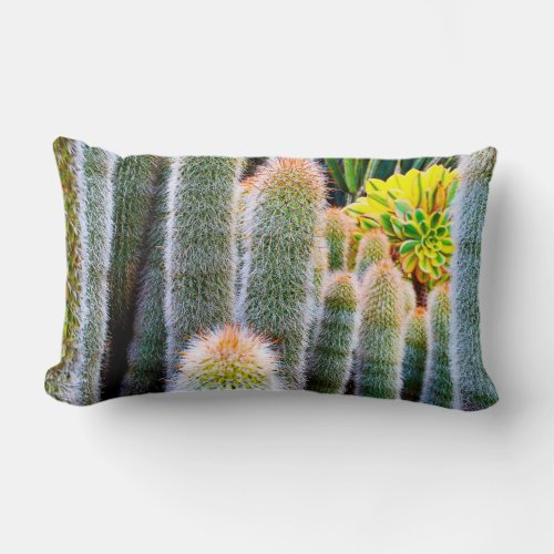 Green fuzzy cacti succulent photo bold modern chic lumbar pillow