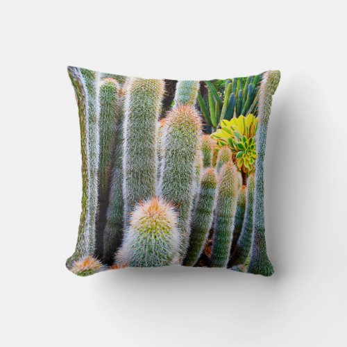 Green fuzzy cacti succulent photo simple modern throw pillow