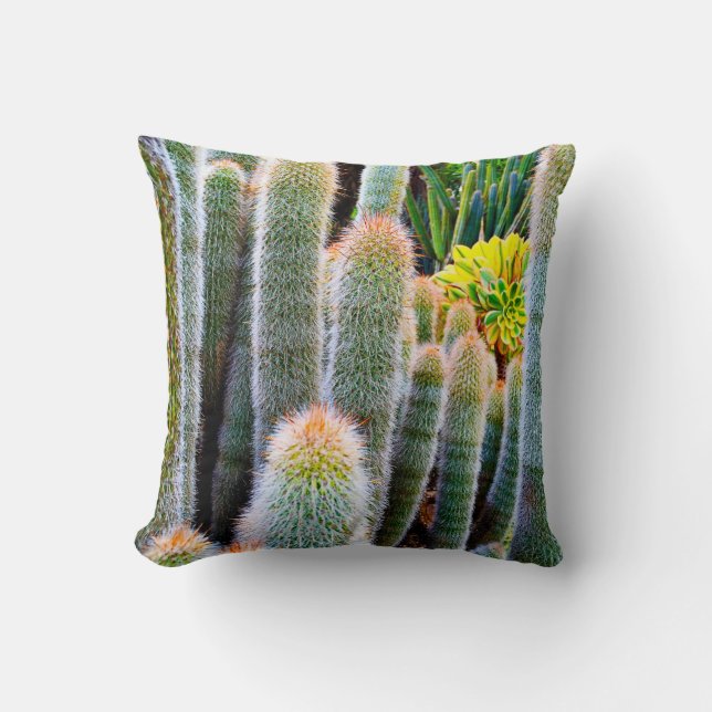Green fuzzy cacti succulent photo simple modern throw pillow (Front)