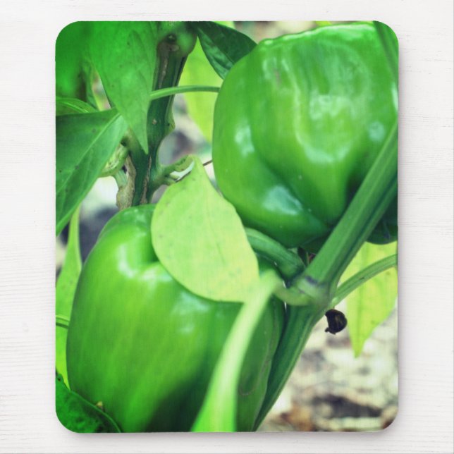 Green Garden Peppers Nature  Mouse Pad (Front)