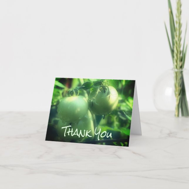 Green Garden Tomatoes Nature Thank You Card (Front)