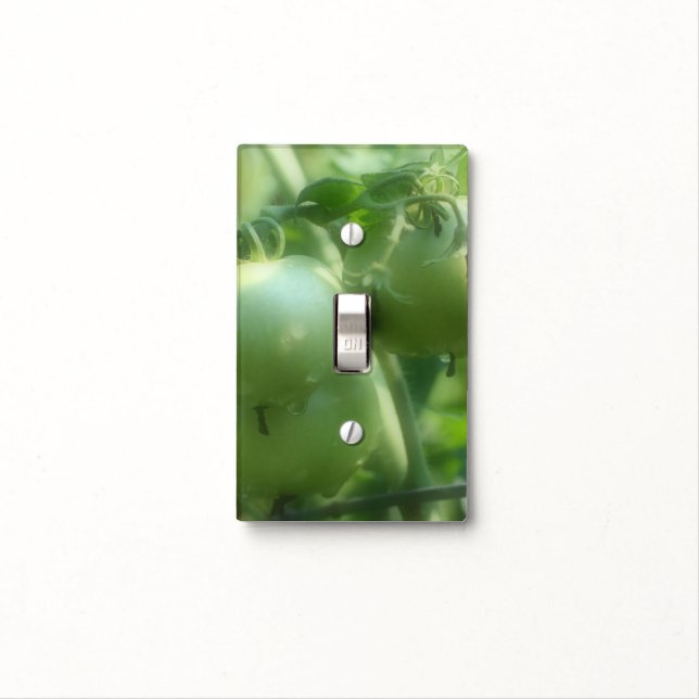 Green Garden Tomatoes On The Vine Light Switch Cover (In Situ)