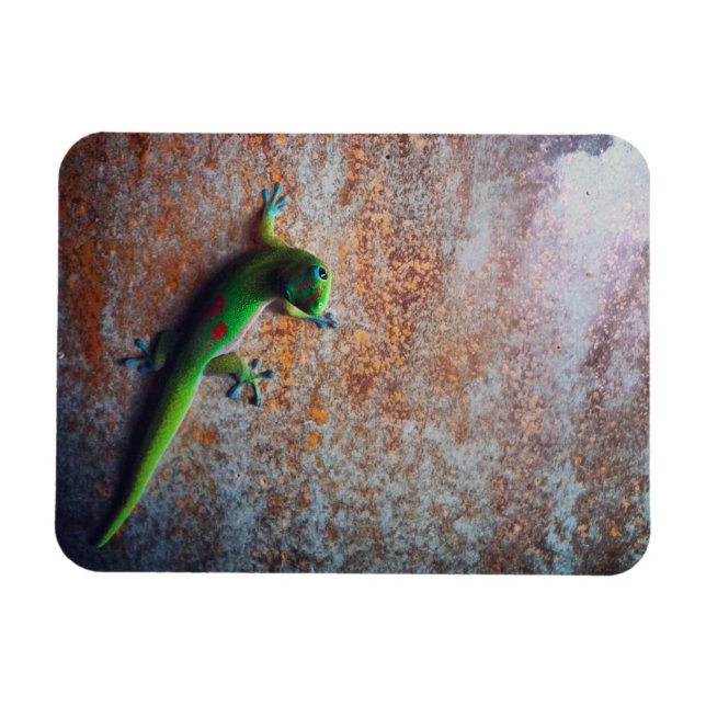 Green Gecko Flexi Magnet (Horizontal)
