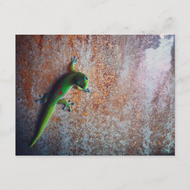Green Gecko Postcard (Front)