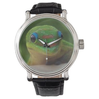 Green Gecko Watch by Rebecca_Reeder at Zazzle