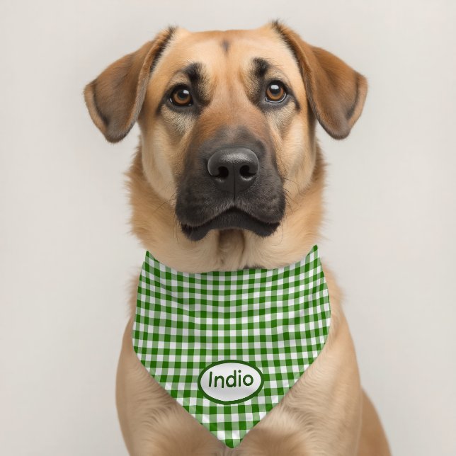 Green Gingham Pet Bandana Collar (Dog 2)