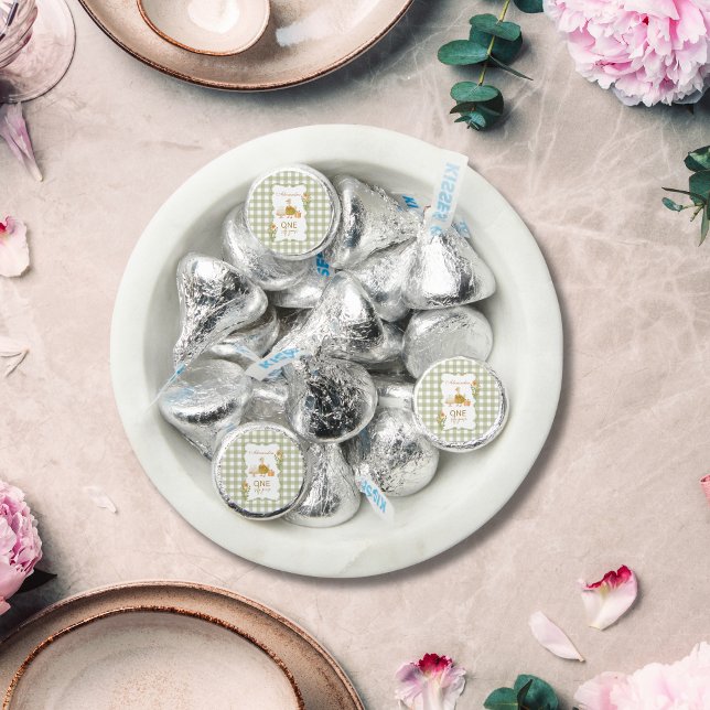  Green Gingham Silly Goose 1st Birthday Hershey®'s Kisses® (Creator Uploaded)