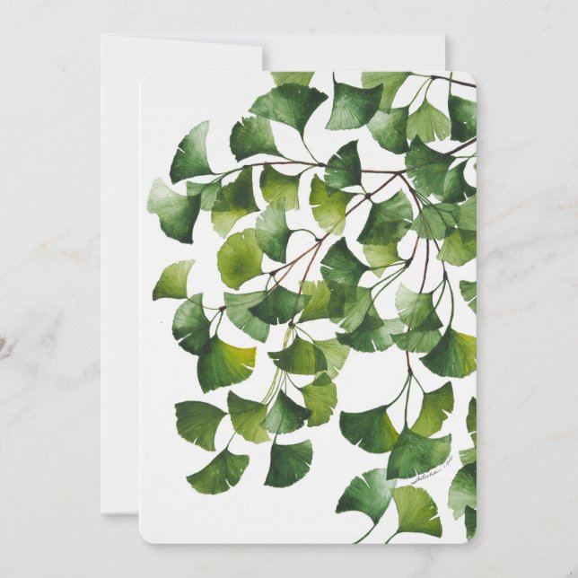 Green Ginkgo Biloba - Blank Card (Front)