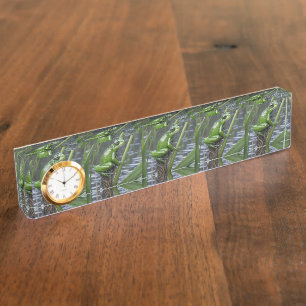Green Glass Frog On Reeds At The River, Desk Name Plate