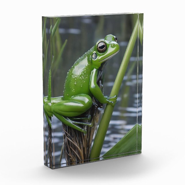 Green Glass Frog On Reeds At The River, Photo Block (Left)