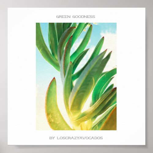 Green Goodness Succulent Plant Aloe Poster