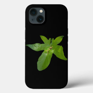 Green Grape Leaf Frog, iPhone 13 Case