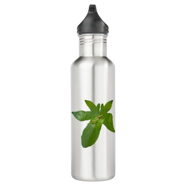 Green Grape Leaf Frog, Water Bottle (Right)
