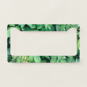 Green Grape Leaves License Plate Frame