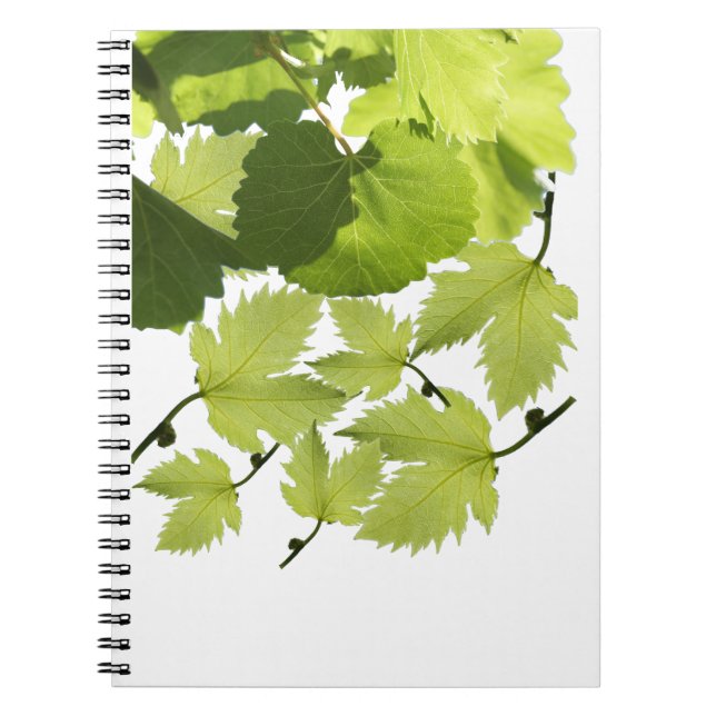 Green Grape Vine Leaves Notebook (Front)