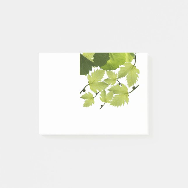 Green Grape Vine Leaves Post-it Notes (Front)