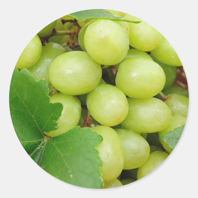 Green Grapes Classic Round Sticker (Front)
