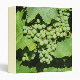 Green grapes on the vine 3 ring binder