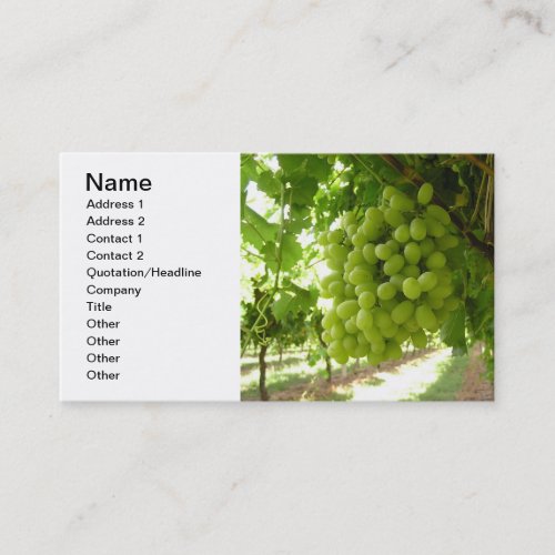 Green Grapes on the Vine Business Card