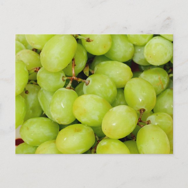 Green Grapes Postcard (Front)