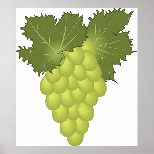 Green Grapes Vine Leaves Fresh Fruit Poster (Front)