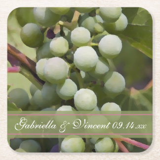 Green Grapes Vineyard Wedding Square Paper Coaster