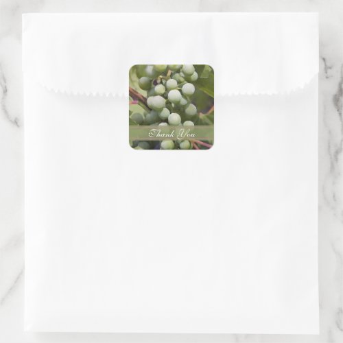 Green Grapes Vineyard Wedding Thank You Favor Tags